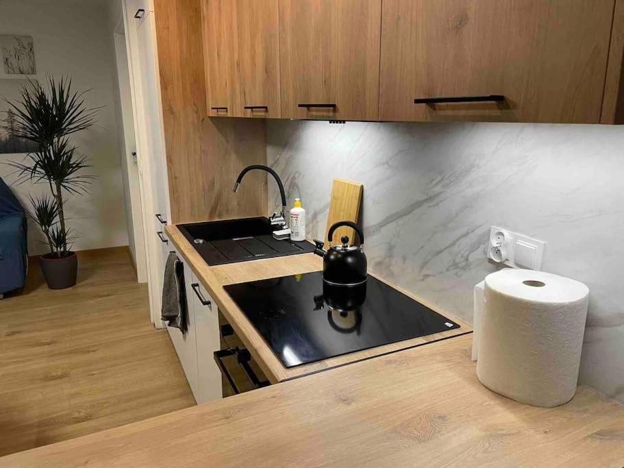 Lucky Seven Cosy 1-Bedroom Apartment, Free Parking Krakow Dış mekan fotoğraf